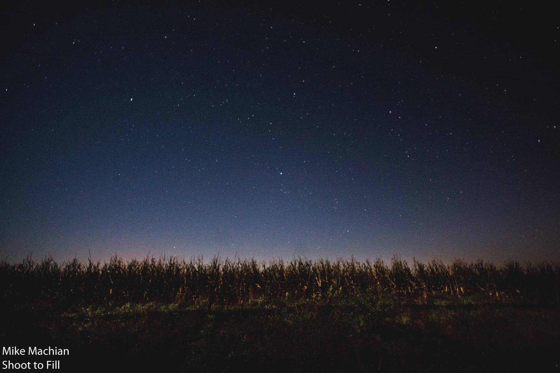 Skyline and twilight over Nebraska corn fields